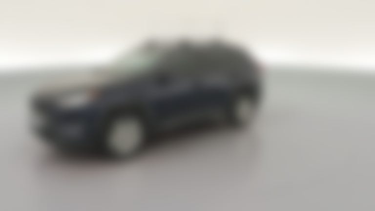 2019 Toyota RAV4 vehicle photo