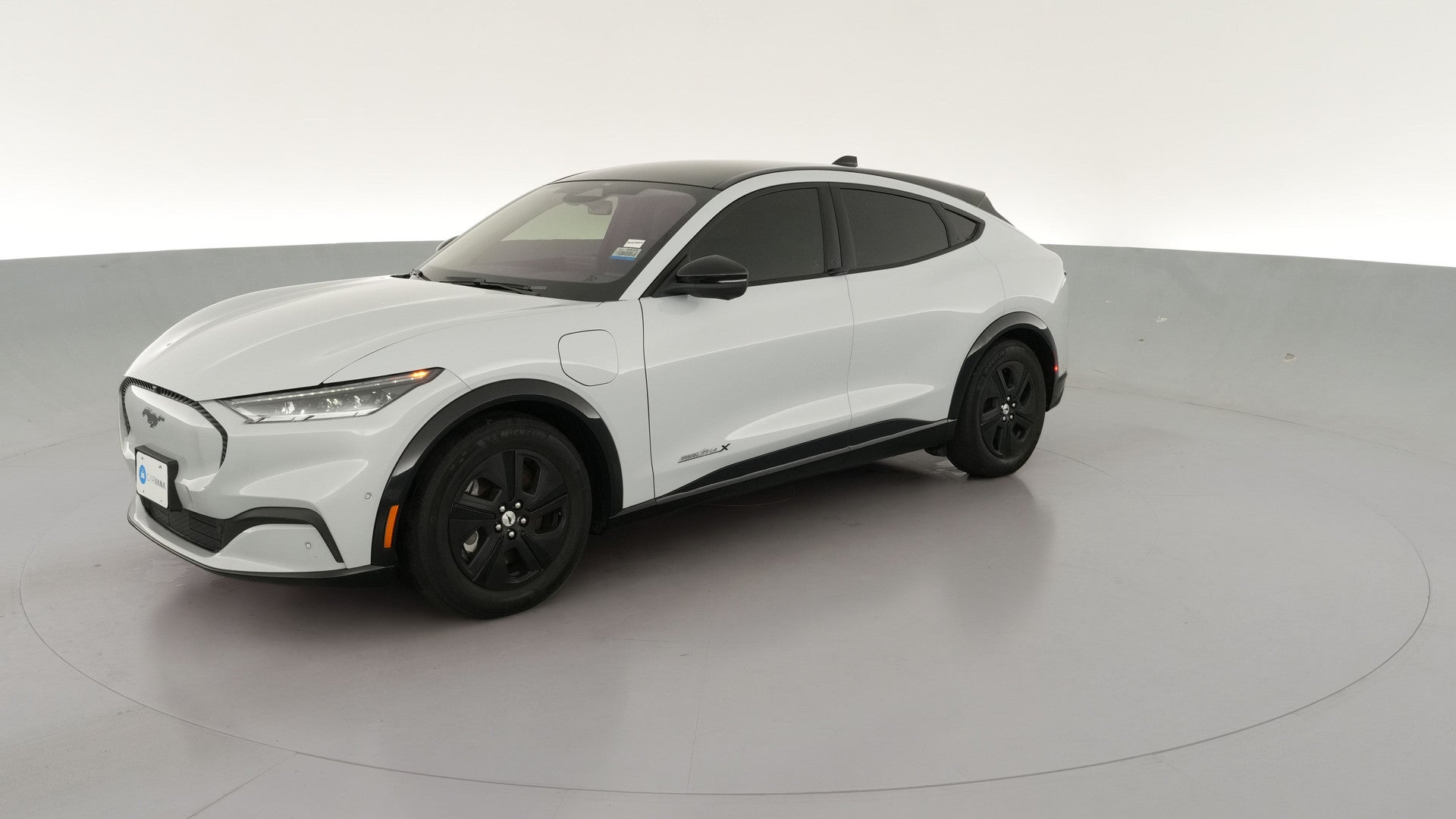2021 Ford Mustang MACH-E vehicle photo