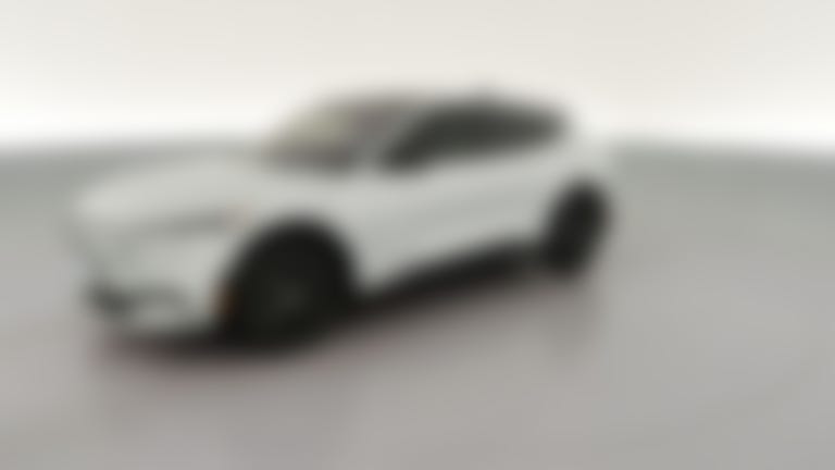 2021 Ford Mustang MACH-E vehicle photo