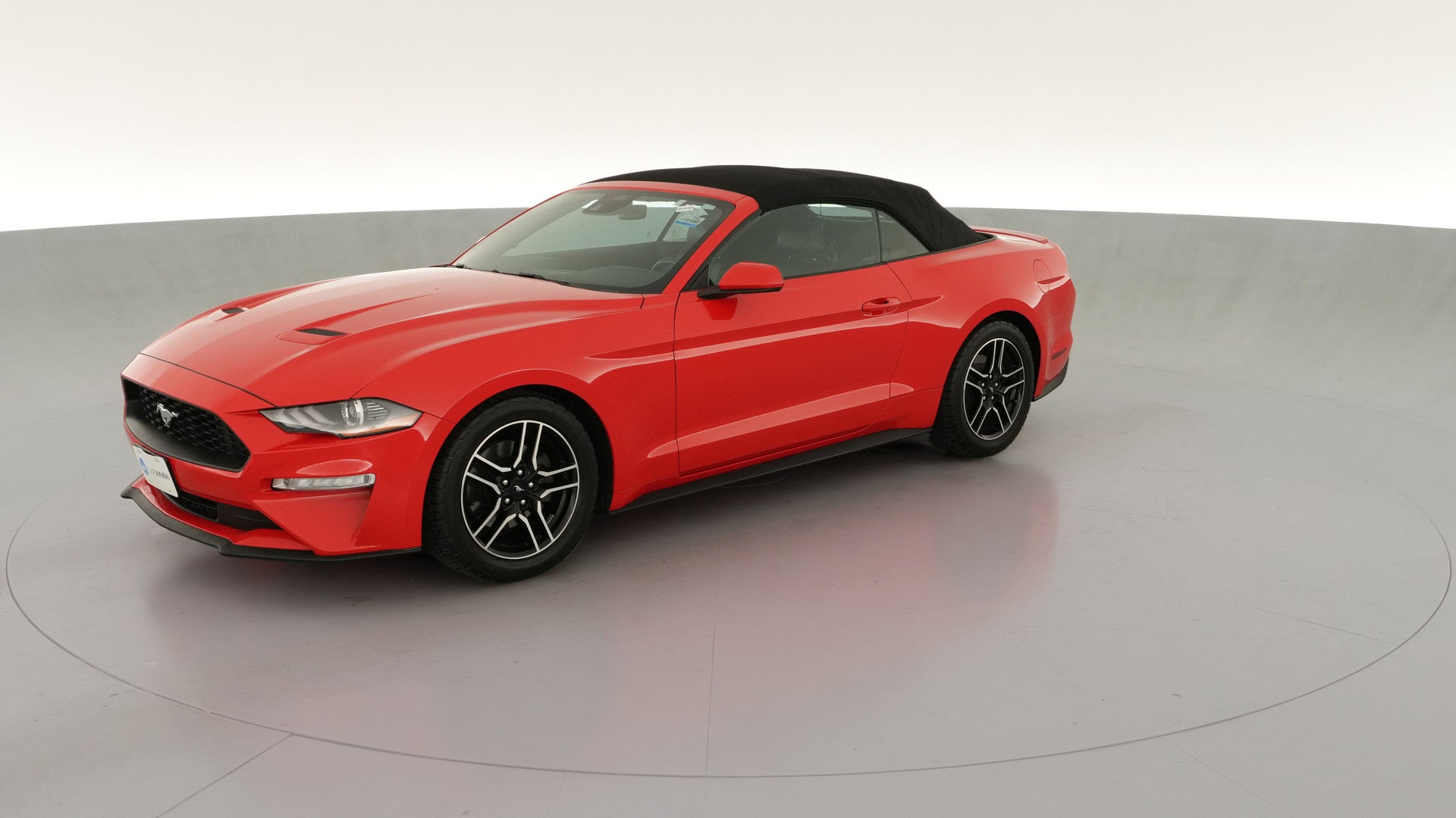 2021 Ford Mustang vehicle photo