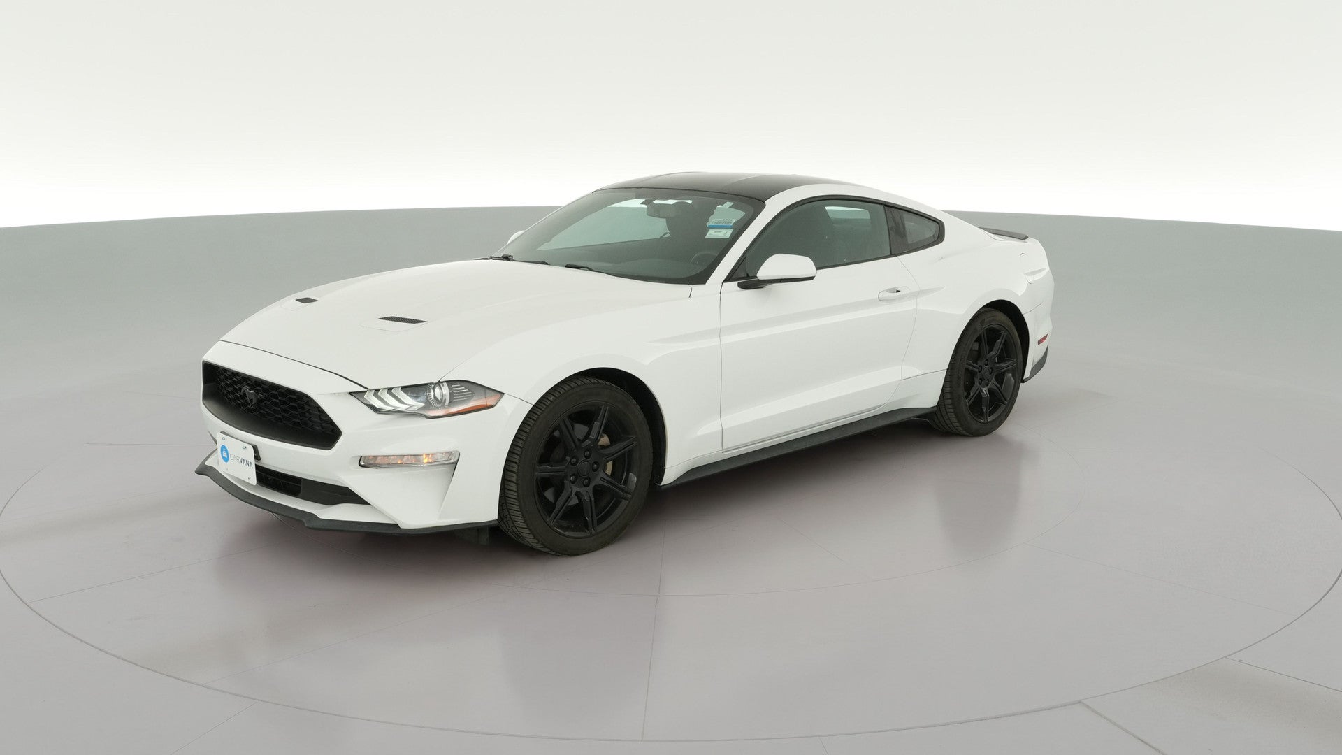 2019 Ford Mustang vehicle photo