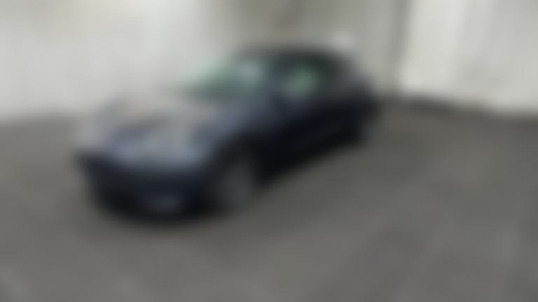 2021 Tesla Model 3 vehicle photo