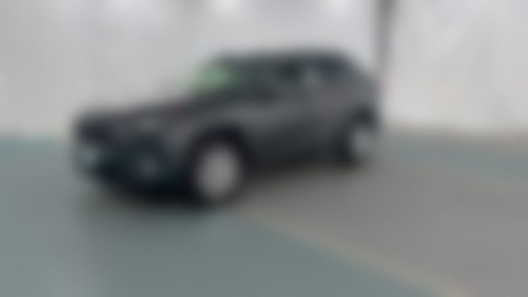 2019 Toyota RAV4 vehicle photo