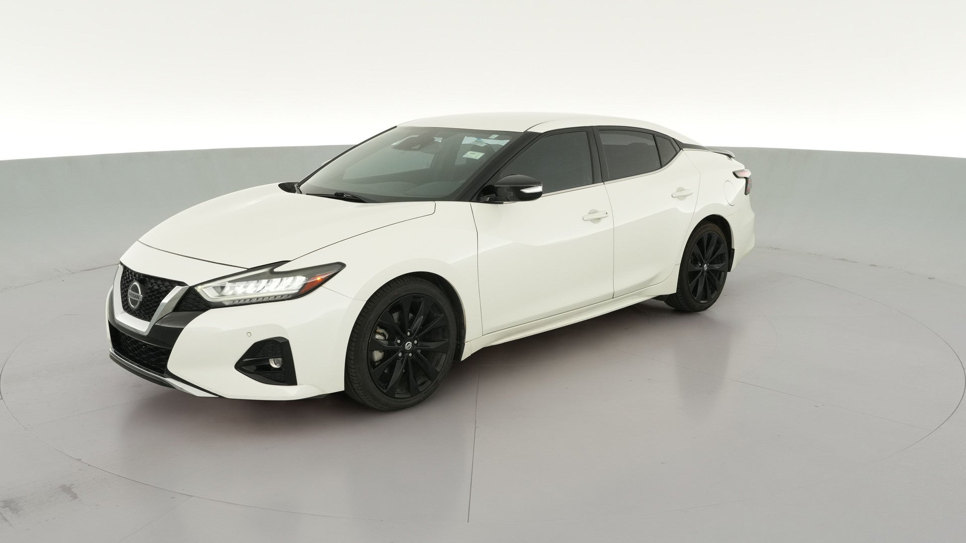 2019 Nissan Maxima vehicle photo