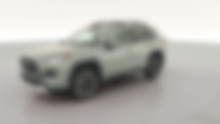 2019 Toyota RAV4 vehicle photo