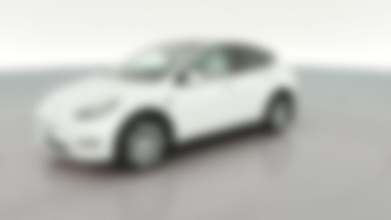 2023 Tesla Model Y vehicle photo