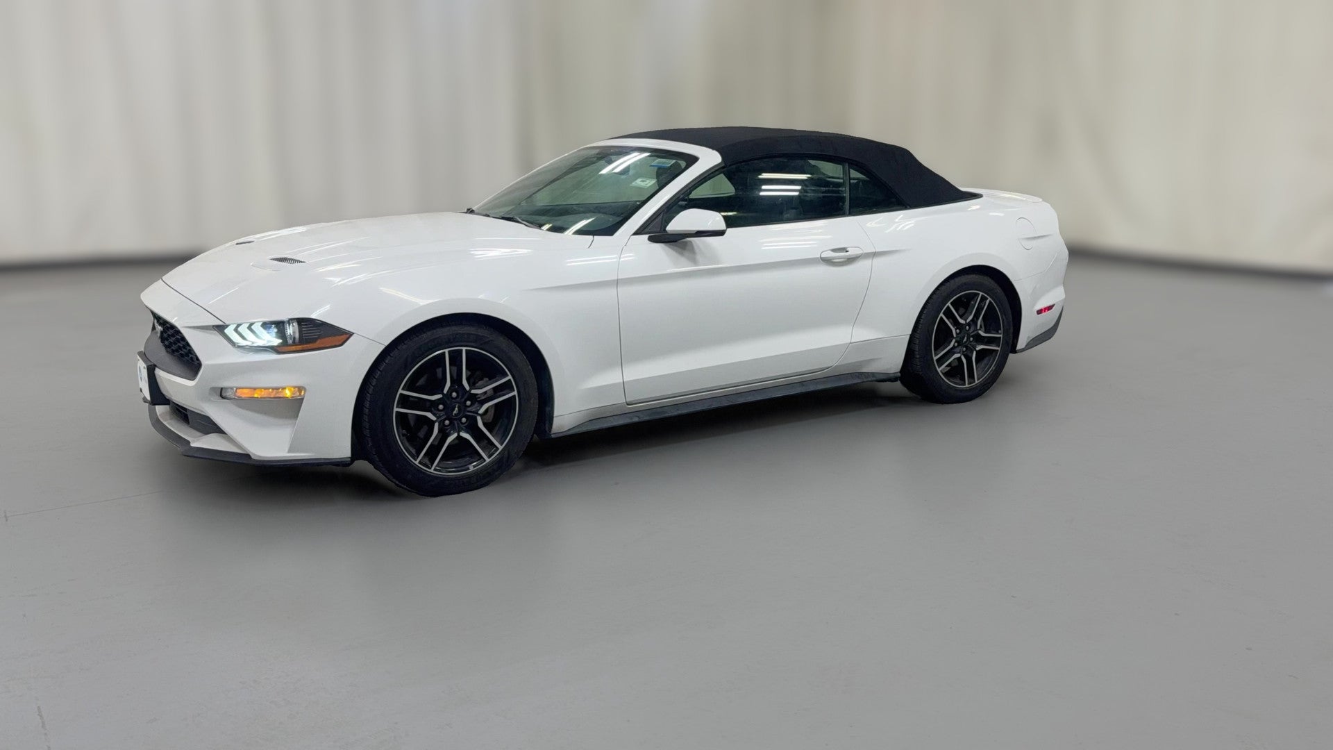 2019 Ford Mustang vehicle photo