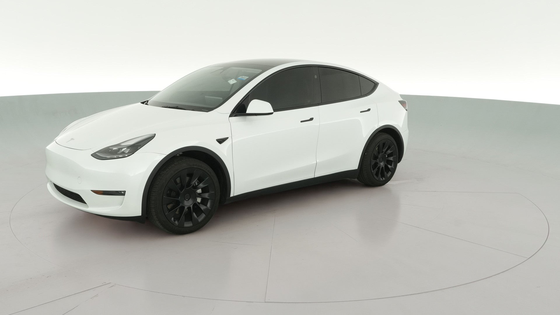 2023 Tesla Model Y vehicle photo