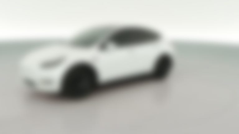 2023 Tesla Model Y vehicle photo