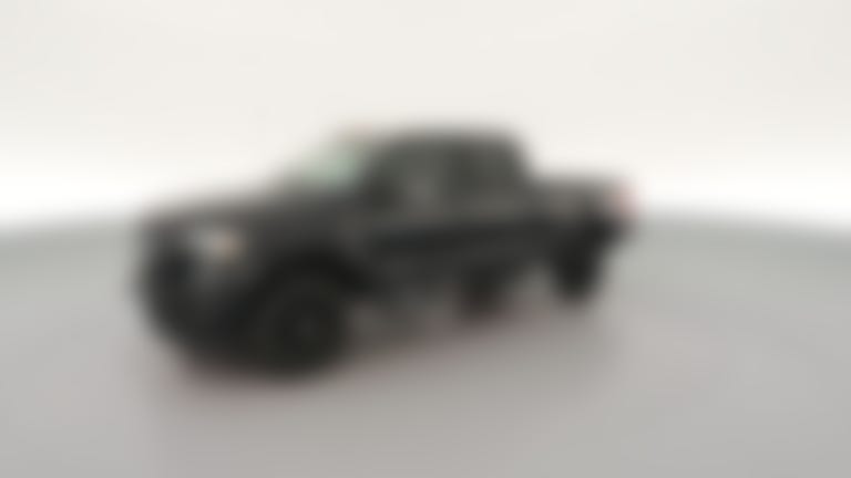 2019 Ford F250 Super Duty Crew Cab vehicle photo