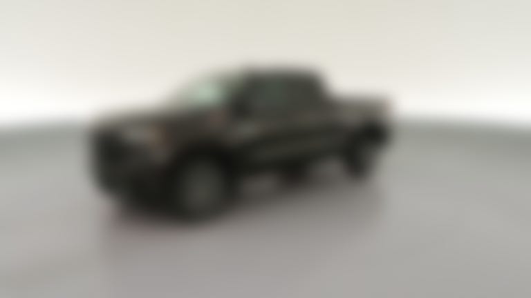 2019 Chevrolet Silverado 1500 Double Cab vehicle photo