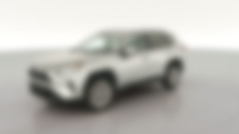 2019 Toyota RAV4 vehicle photo