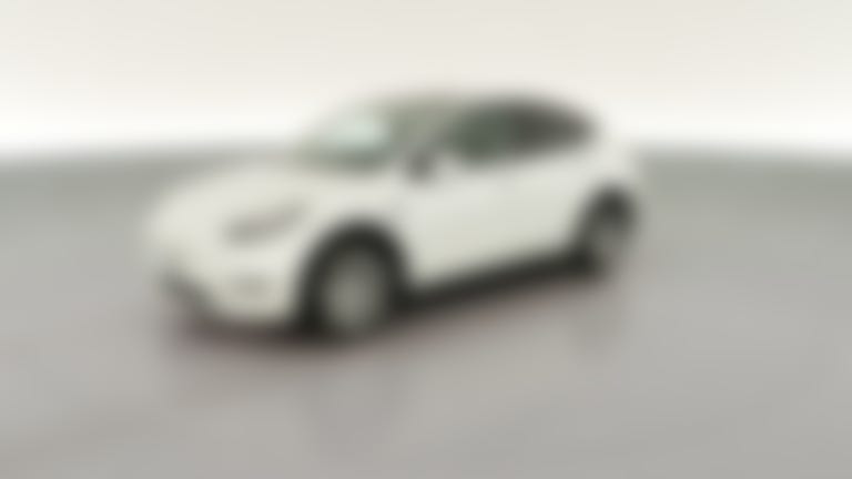2021 Tesla Model Y vehicle photo