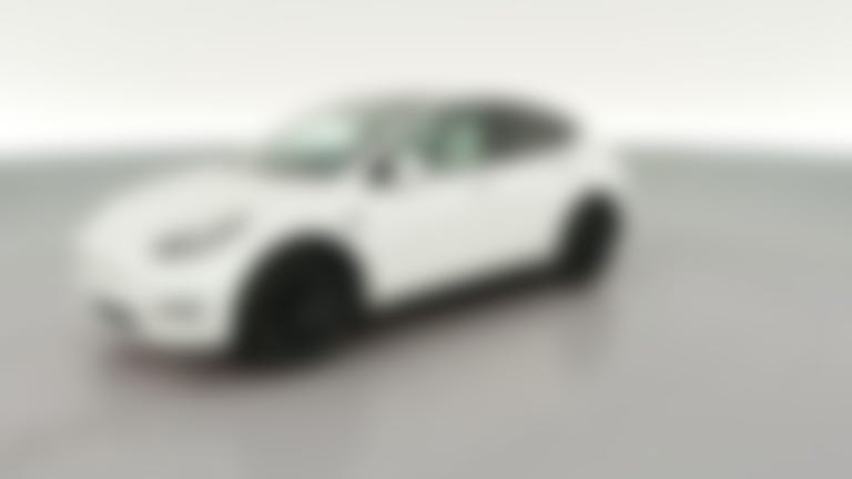 2021 Tesla Model Y vehicle photo