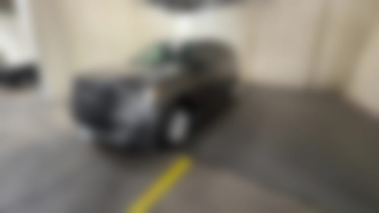 2021 Ford Expedition MAX vehicle photo