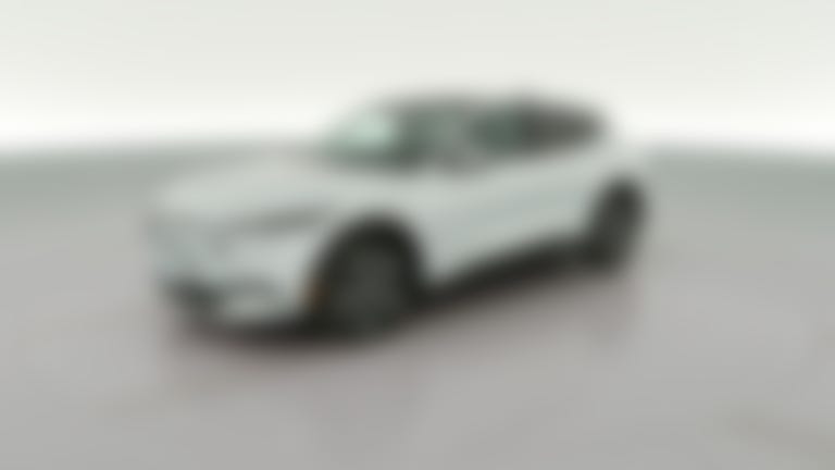 2021 Ford Mustang MACH-E vehicle photo