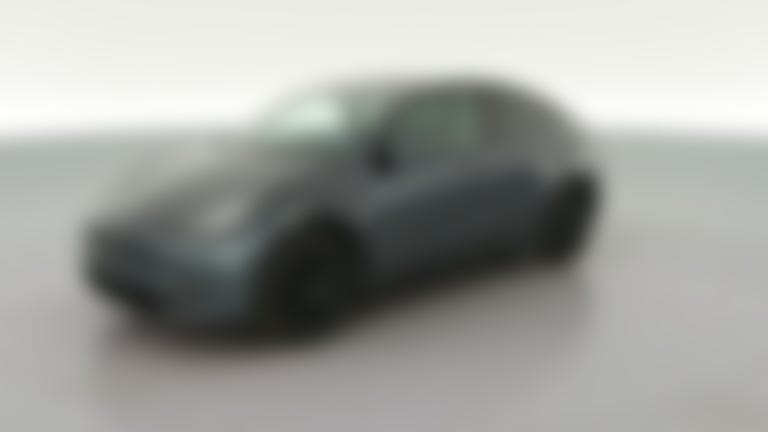 2021 Tesla Model Y vehicle photo
