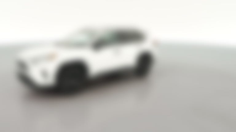 2021 Toyota RAV4 vehicle photo