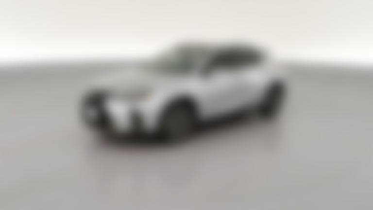 2023 Lexus UX vehicle photo
