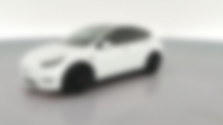 2023 Tesla Model Y vehicle photo