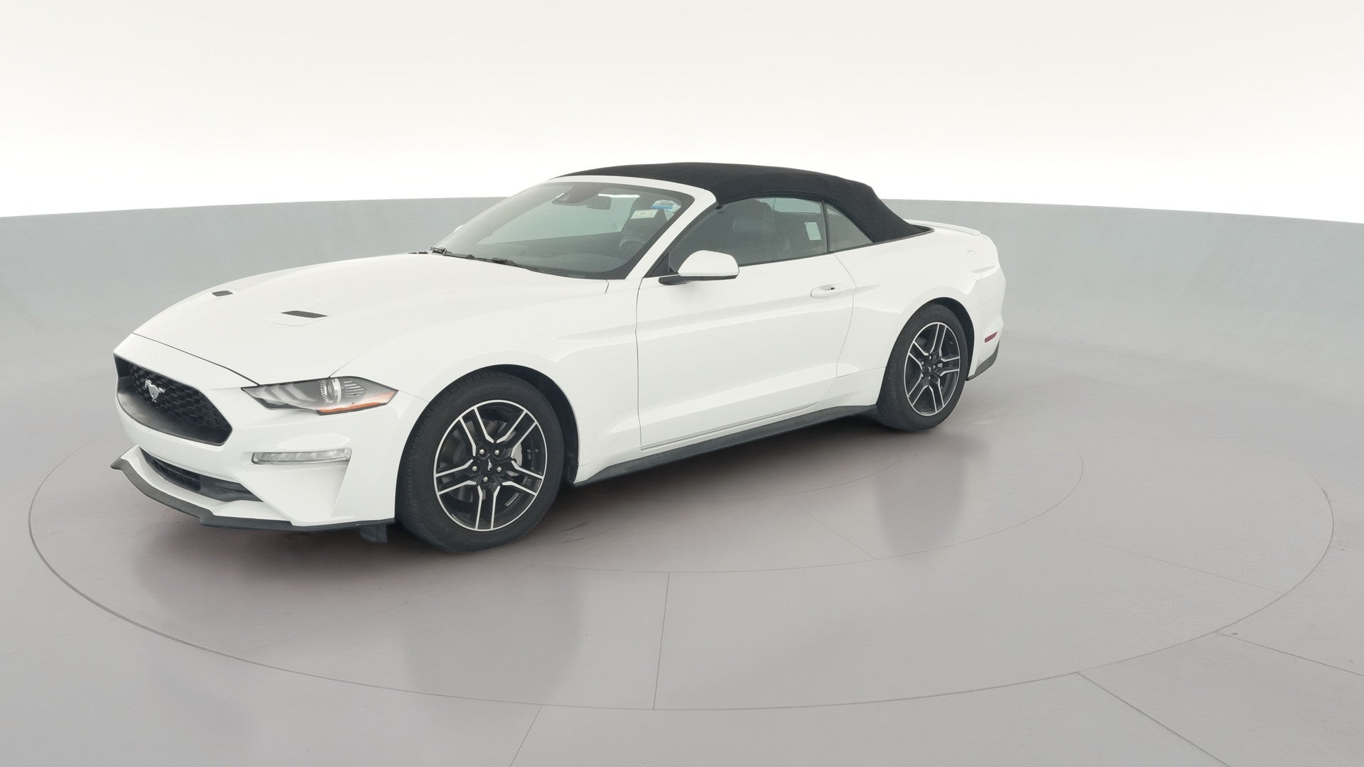 2022 Ford Mustang vehicle photo