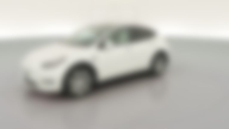 2021 Tesla Model Y vehicle photo