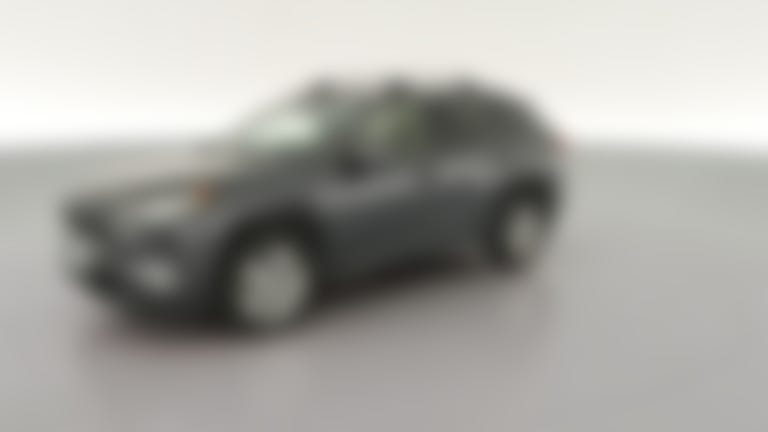 2019 Toyota RAV4 vehicle photo
