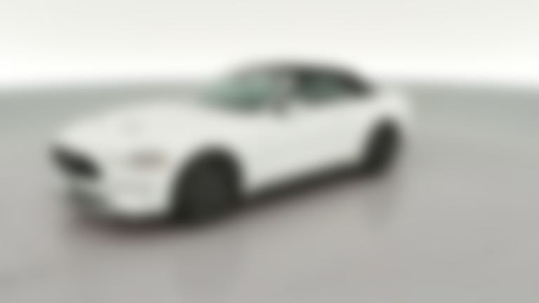 2023 Ford Mustang vehicle photo