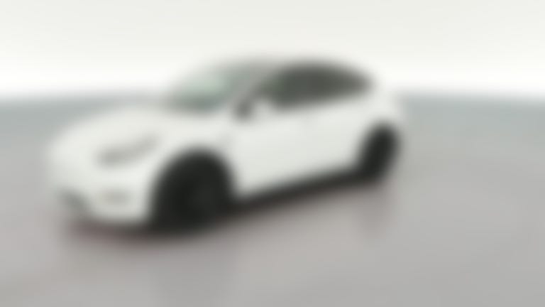 2021 Tesla Model Y vehicle photo