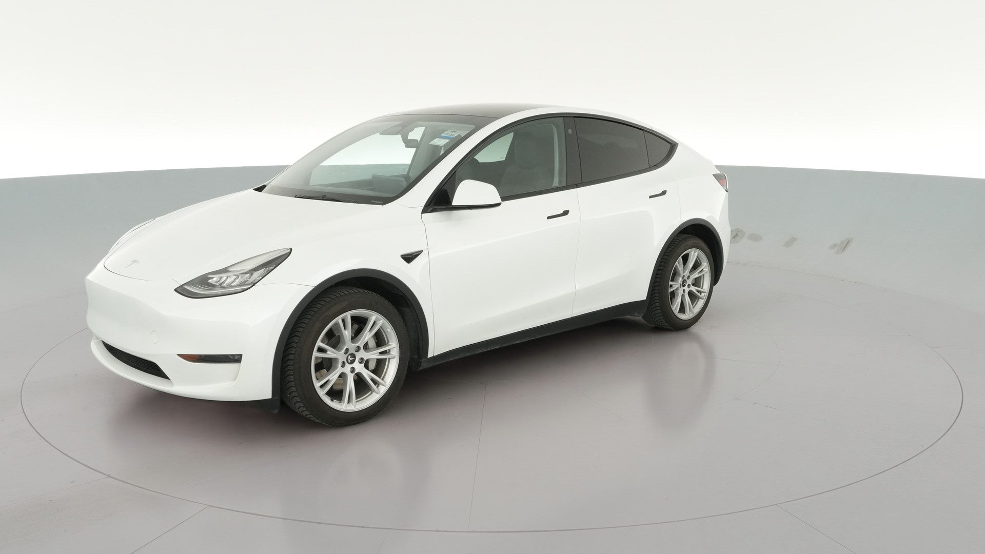 2023 Tesla Model Y vehicle photo