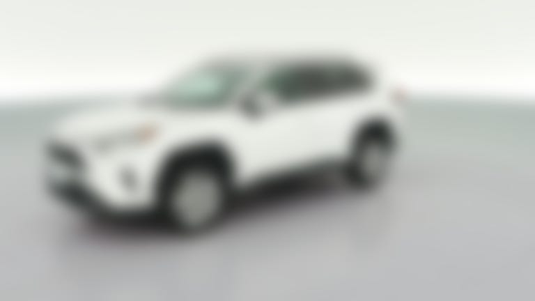 2019 Toyota RAV4 vehicle photo