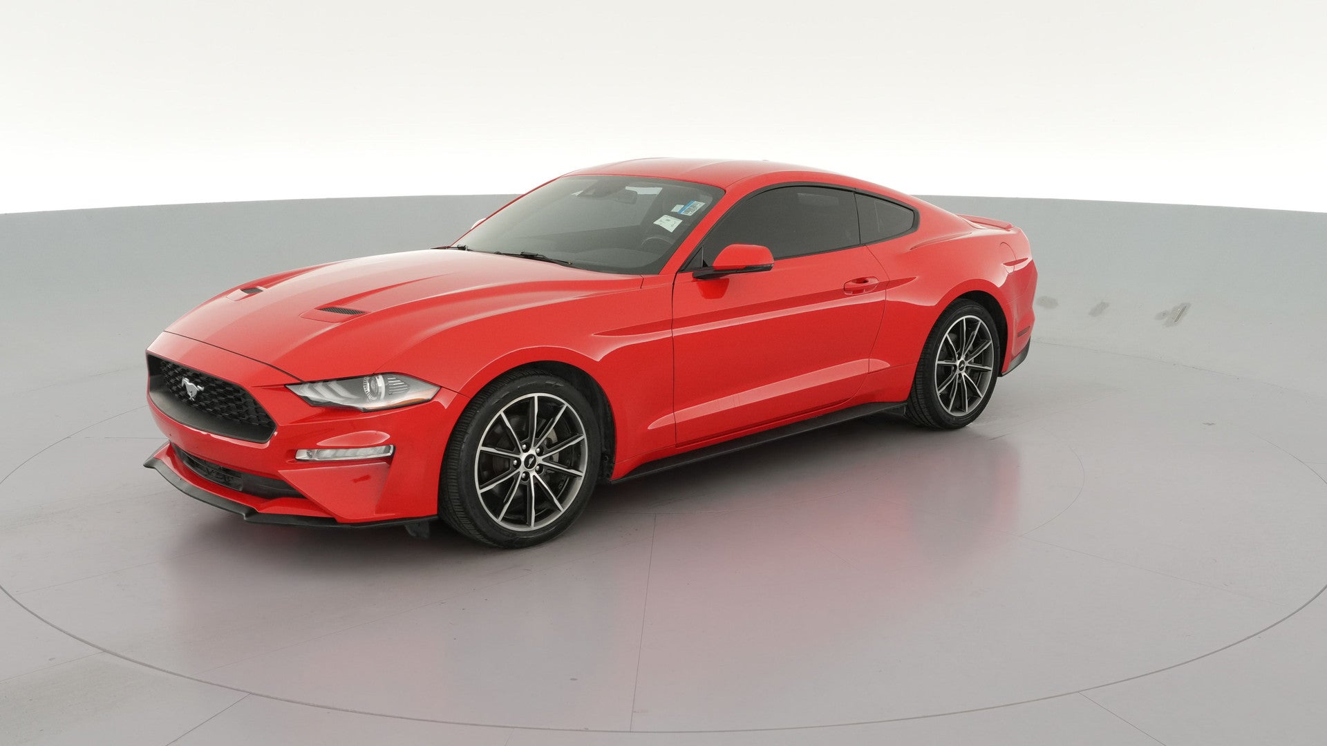 2019 Ford Mustang vehicle photo