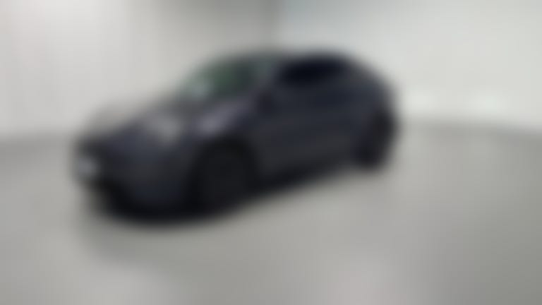 2025 Tesla Model Y vehicle photo