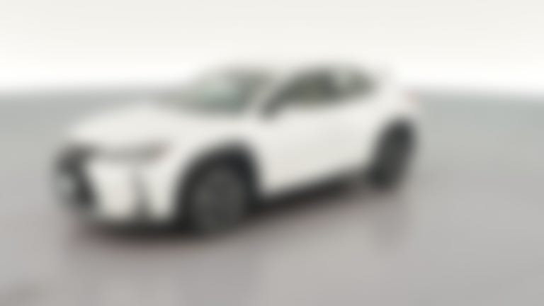 2019 Lexus UX vehicle photo