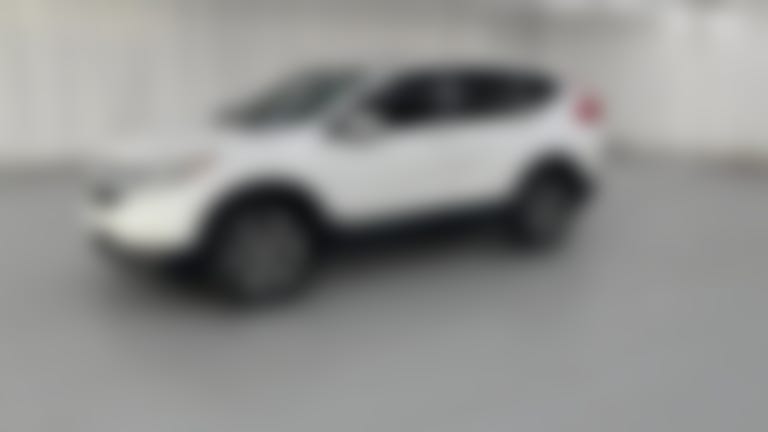 2019 Honda CR-V vehicle photo