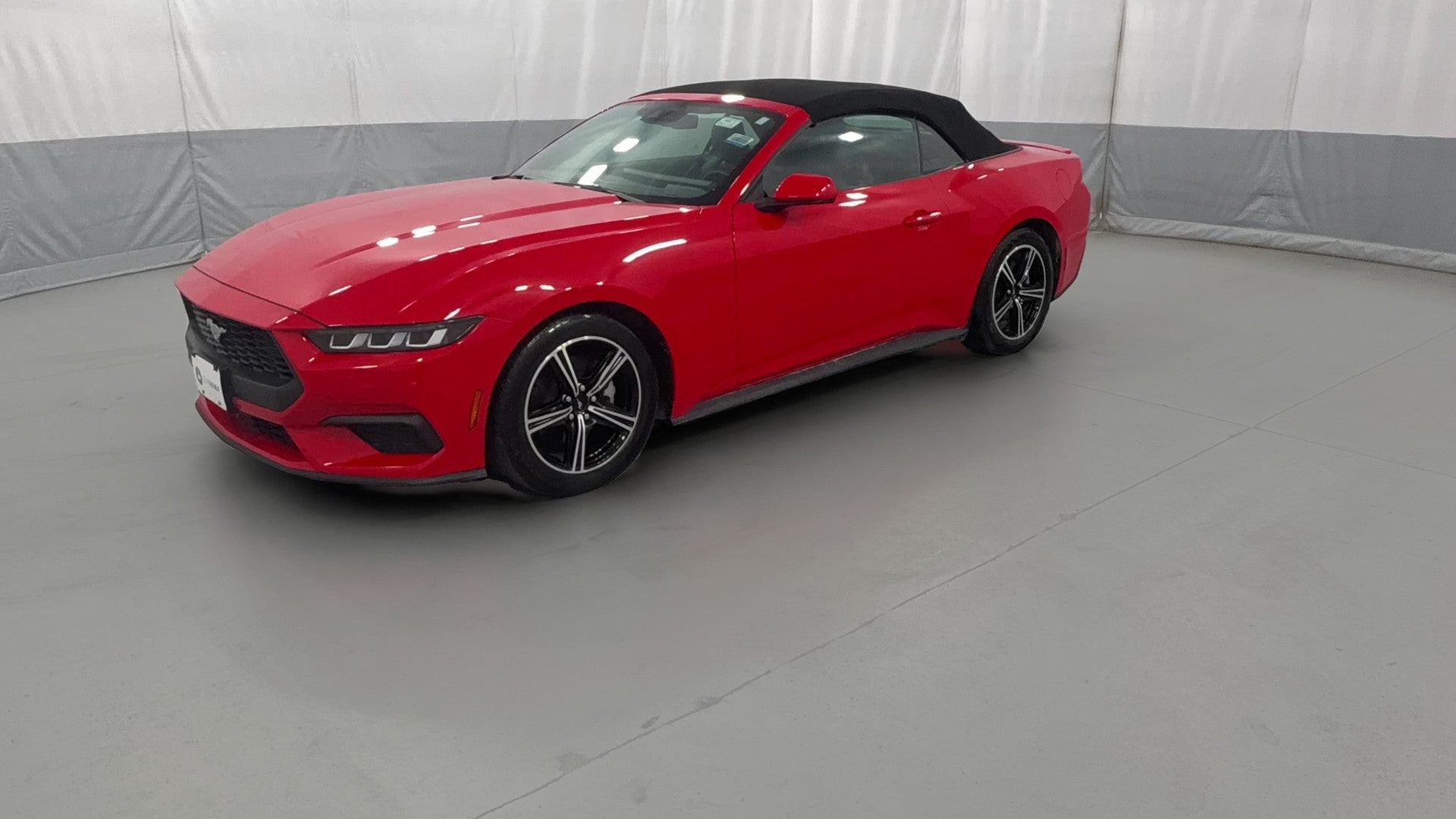 2024 Ford Mustang vehicle photo