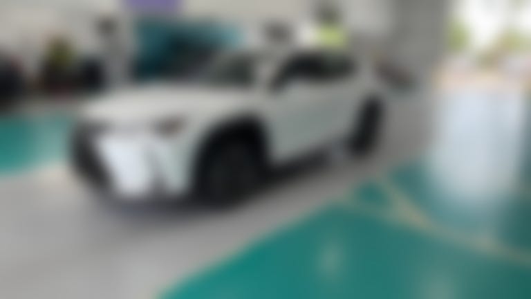 2021 Lexus UX vehicle photo