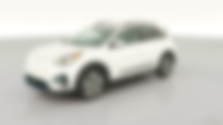 2019 Kia Niro EV vehicle photo
