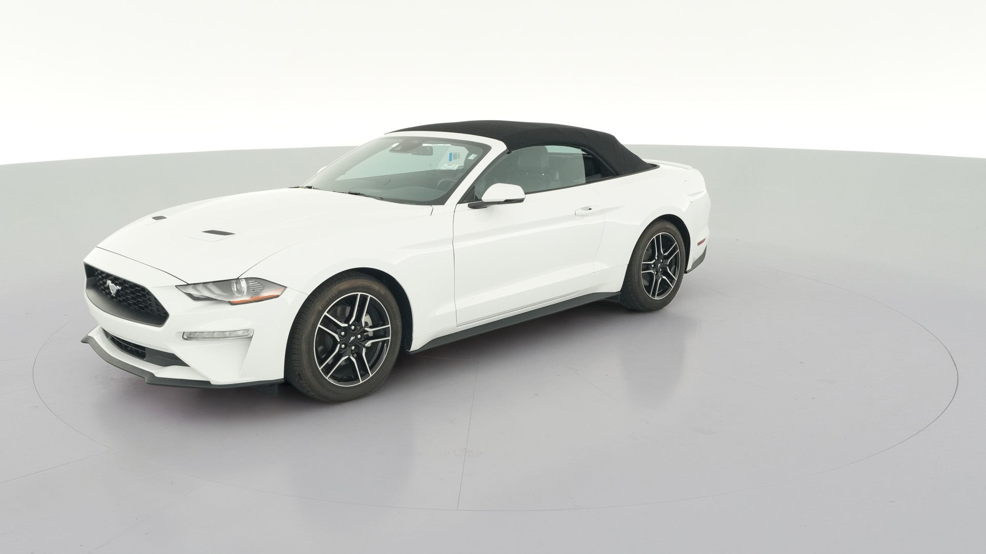 2023 Ford Mustang vehicle photo