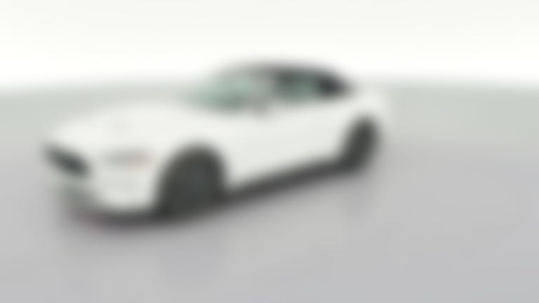 2023 Ford Mustang vehicle photo