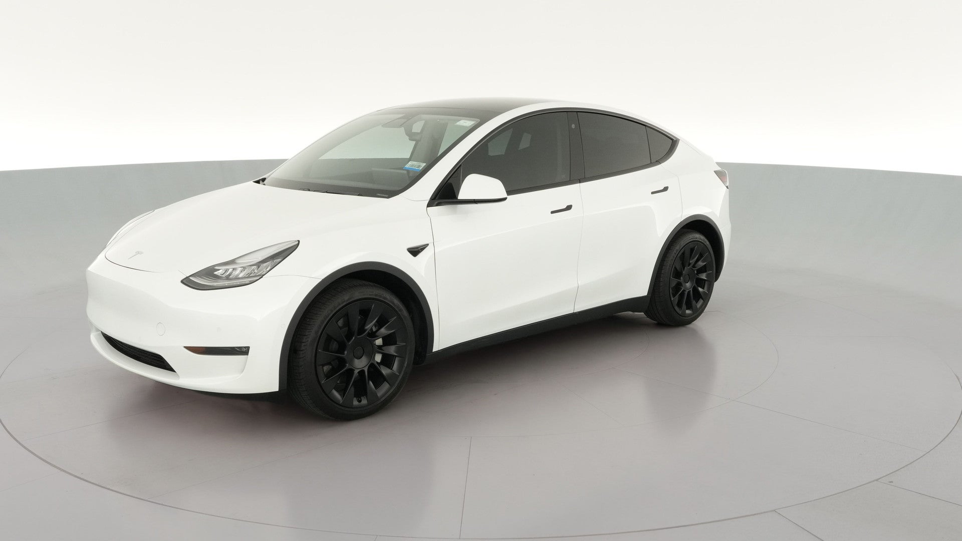 2020 Tesla Model Y vehicle photo