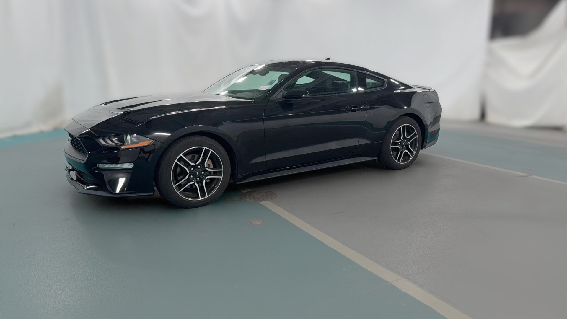 2023 Ford Mustang vehicle photo