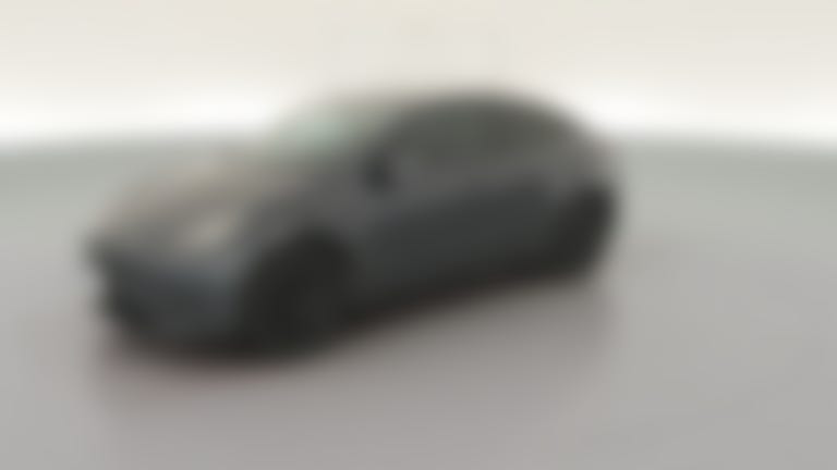 2021 Tesla Model Y vehicle photo