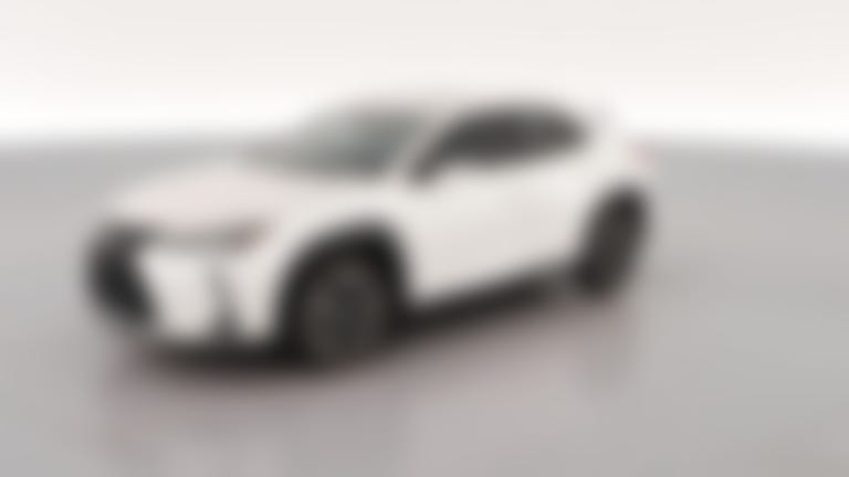 2020 Lexus UX vehicle photo