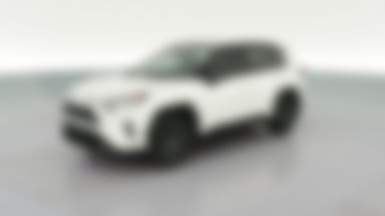 2019 Toyota RAV4 vehicle photo
