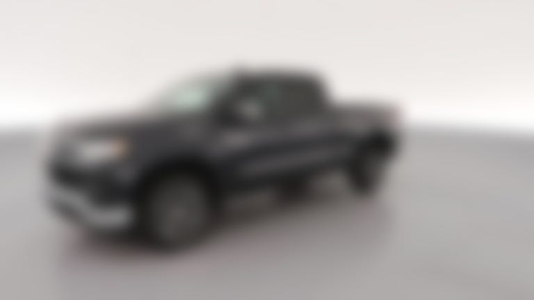 2023 Chevrolet Silverado 1500 Double Cab vehicle photo