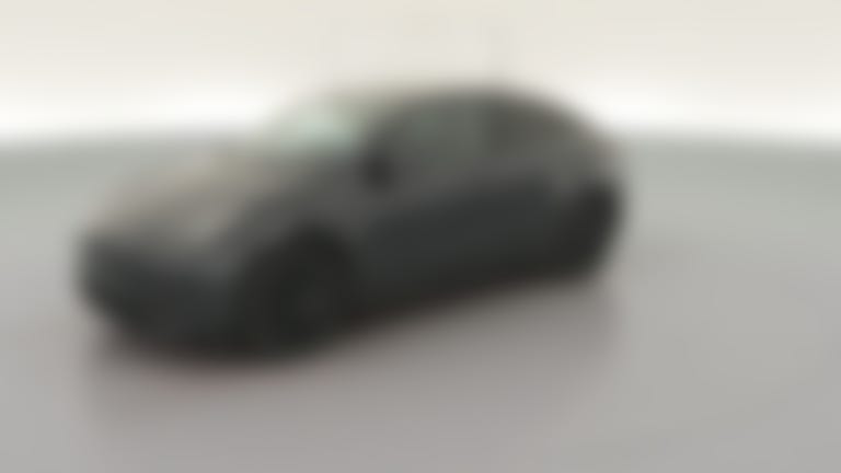 2024 Tesla Model Y vehicle photo