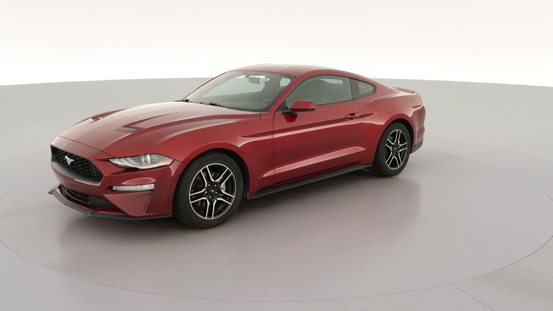 2019 Ford Mustang vehicle photo