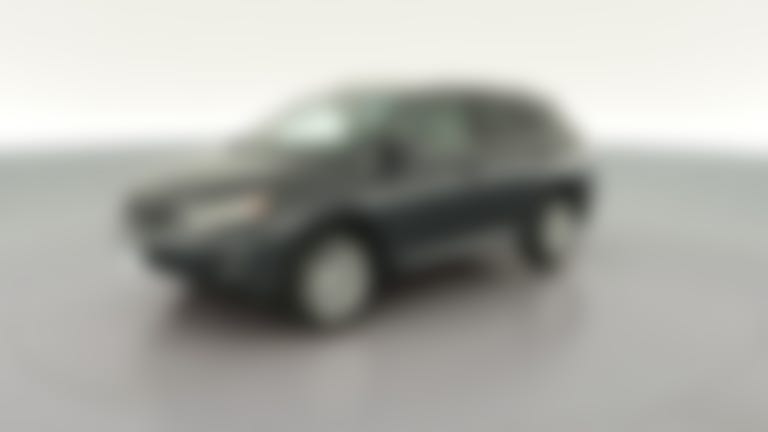 2010 Lexus RX vehicle photo