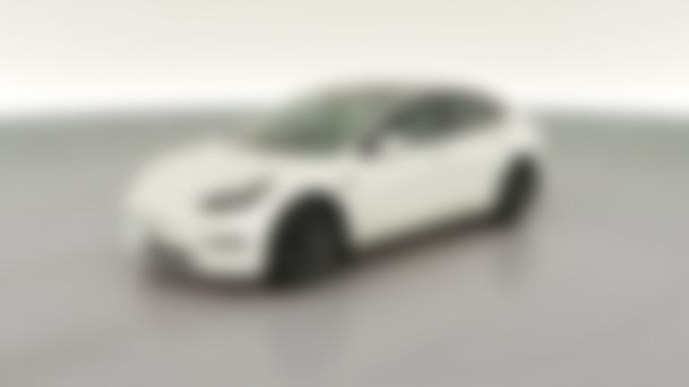 2021 Tesla Model 3 vehicle photo
